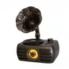Everton Rt-704 Gramafonlu Bluetooth Fm-Usb-Tf-Aux  Şarjlı Nostaljik Radyo