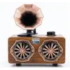 Everton Rt-744  Bluetooth Fm-Usb-Tf-Aux  Şarjlı Nostaljik Radyo