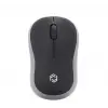 Frisby FM-272WM Kablosuz Optik  Mini Nano Alıcı Kablosuz Mouse