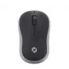 Frisby FM-272WM Kablosuz Optik  Mini Nano Alıcı Kablosuz Mouse (KDO)