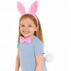 Pembe Full Tavşan Kulak Papyon Kuyruk 339lü Parti Seti