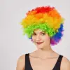 Rengarenk Kıvırcık Afro Bonus Peruk