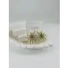 Zirkon Taşlı Pirinç Zirkon Küpe - Kp00361