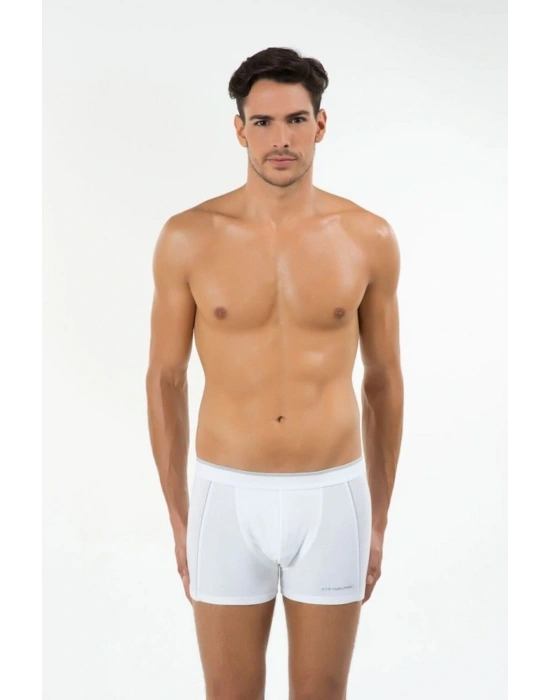 Erkek Gri Madrid Boxer