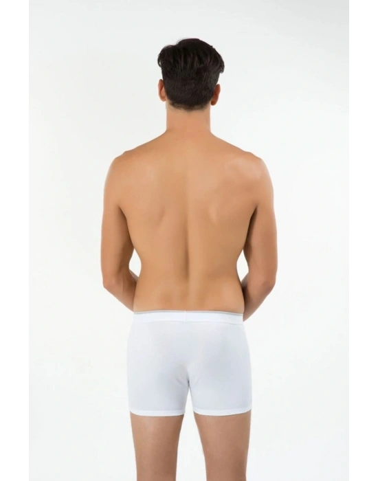 Erkek Gri Madrid Boxer