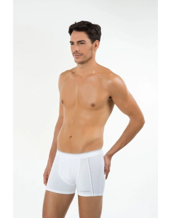 Erkek Gri Madrid Boxer