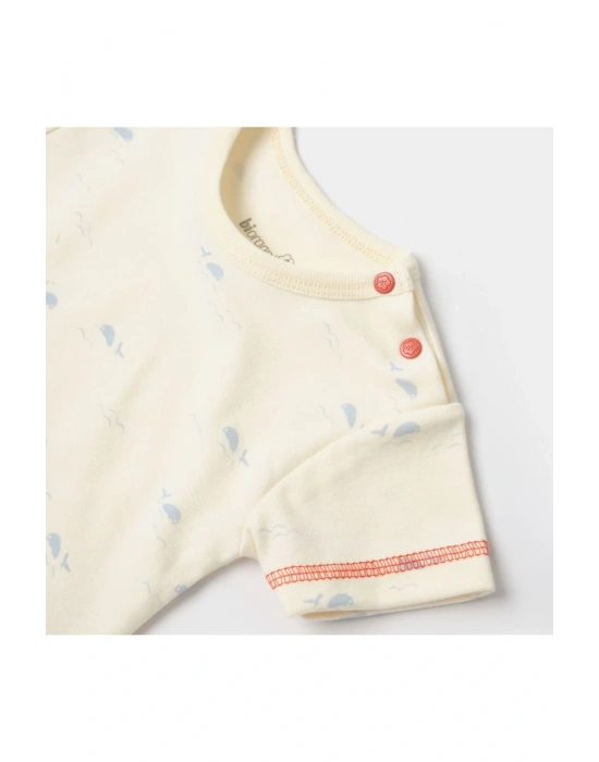 Sun Lets Sail Bebek Slopet Tulum 60753