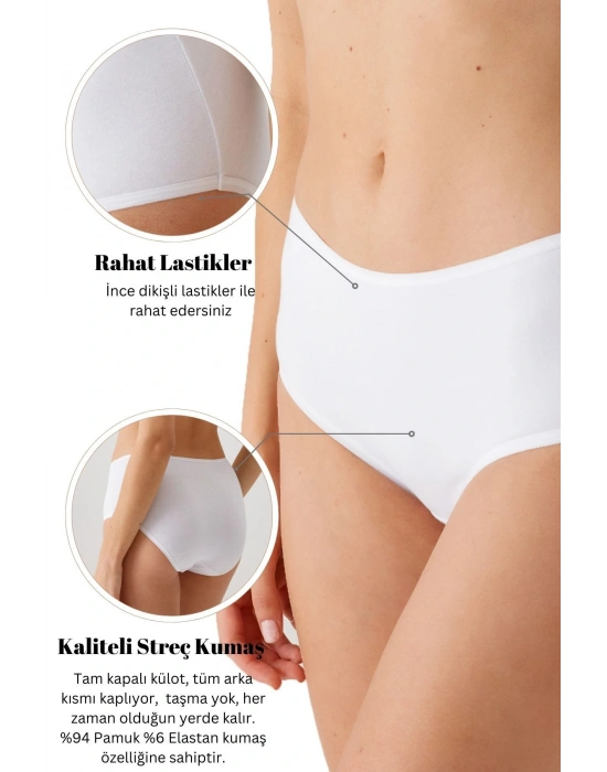 Kadın 3lü Ekonomik Paket Ten 2033 Maxi Cut Pamuklu Basic Külot