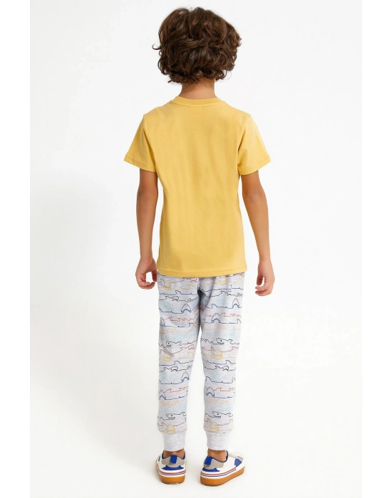 Rolypoly Shark Hardal Erkek Çocuk Eşofman Takımı