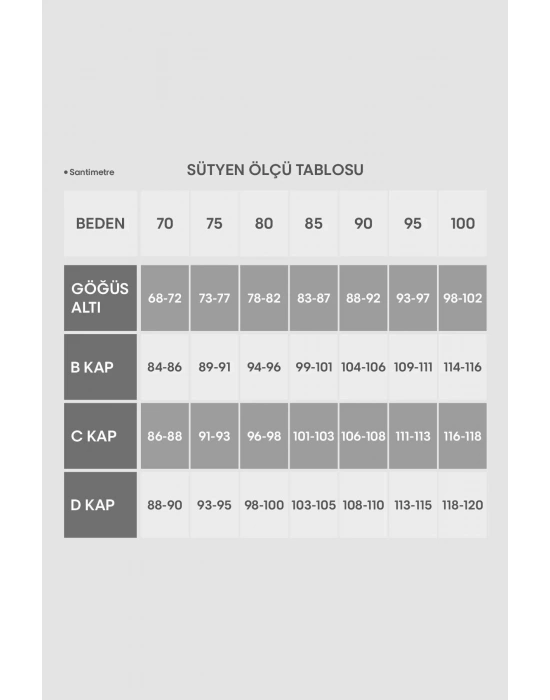 4861 Balenli Push Up Dolgulu Dantelli Fantezi Sütyen ve Külot İç Çamaşır Takımı