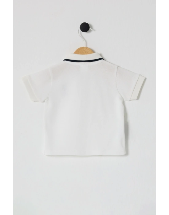 U.S. Polo Assn. Erkek Bebek Polo Yaka Tişört USB2511