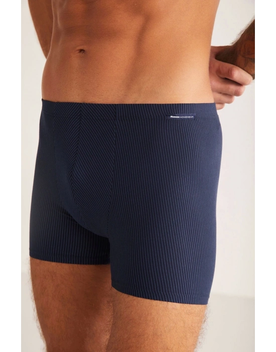 Erkek Domenico Boxer