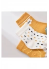 Bibaby Biorganic Cute Erkek 3Lü Çorap 68448 Hardal
