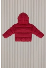 Erkek Bebek Kırmızı Bebek Mont