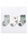 Koala 3lü Bebek Çorabı 68449