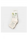 Bear 2li Bebek Çorabı 68408
