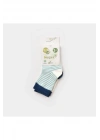 Hello Teddy Bear 2li Çorap 68404