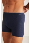 Erkek Domenico Boxer