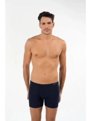 Erkek Domenico Boxer