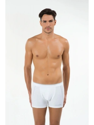 Erkek Gri Madrid Boxer