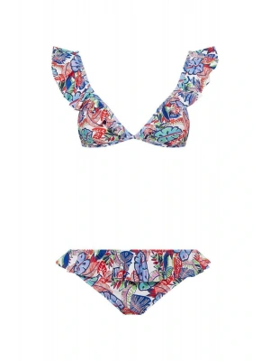 Kadın Desenli Bikini Takım