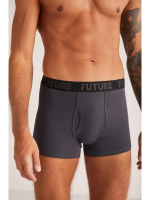 Future Pamuk Modal Biyeli Erkek Boxer