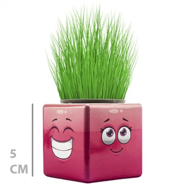 MDB Çim Adam Mini Küp Emoji Figürlü 1 Adet