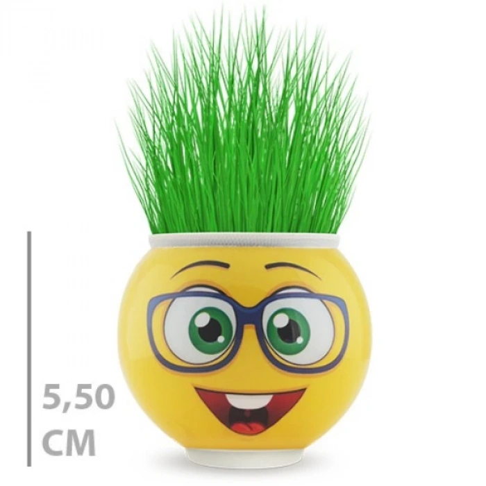 MDB Çim Adam Saksı Emoji Figürlü 1 Adet