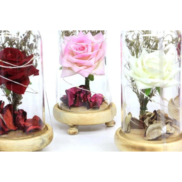 Fanus Gül 19/10cm Led Işıklı Cam Fanuslu Hediyelik