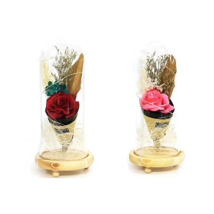 Fanus Gül 28/12cm Cam Fanus Led Işıklı Hediyelik