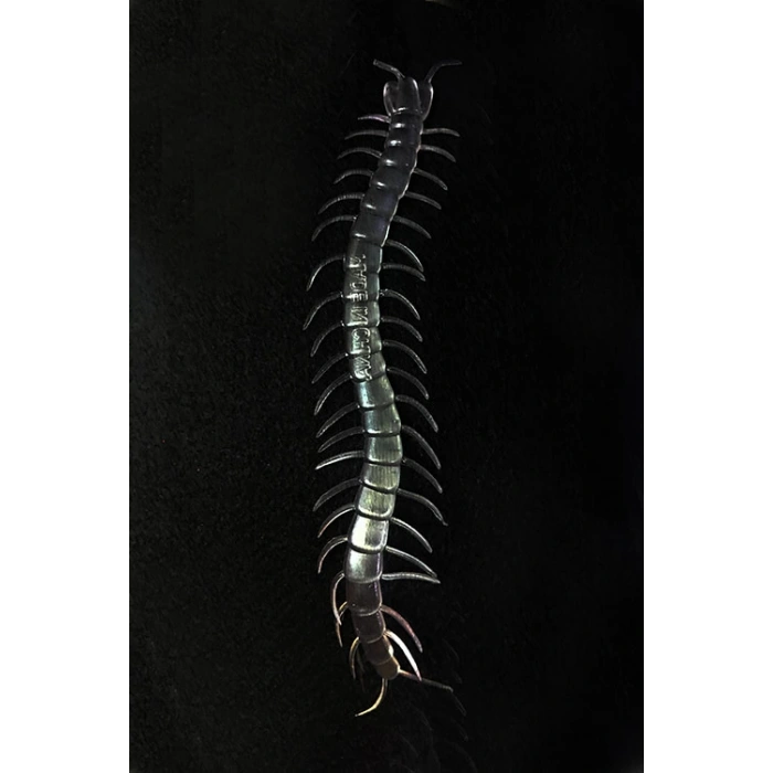 MDB Karanlıkta Parlayan Fosforlu Kırkayak