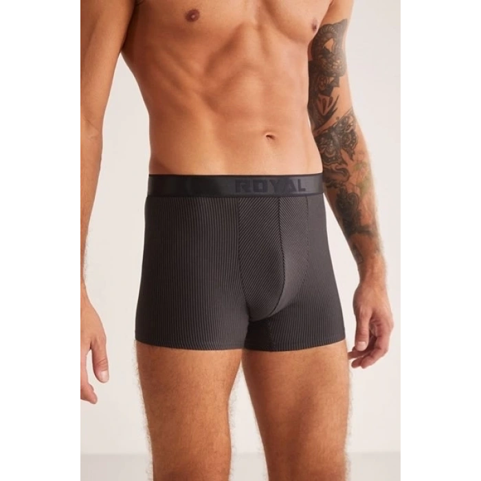 MDB Kom Luca Erkek Boxer