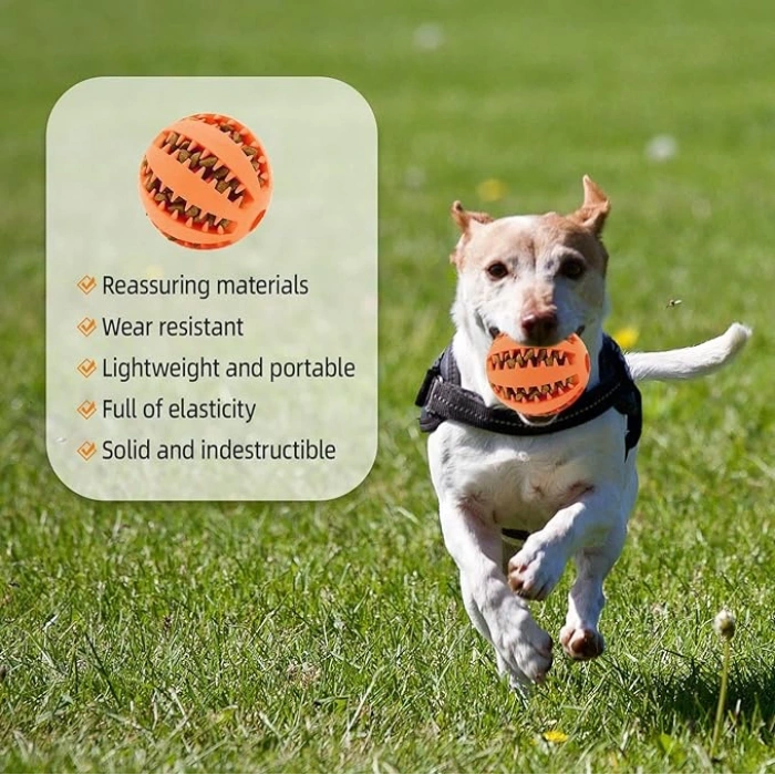 MDB Mama Hazneli Köpek Eğitim Ve Oyun Topu