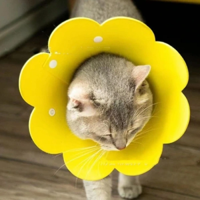 MDB Evcil Hayvan L Boy Keçe Elizabeth Yakalığı