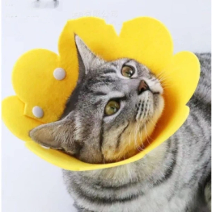 MDB Evcil Hayvan M Boy Keçe Elizabeth Yakalığı