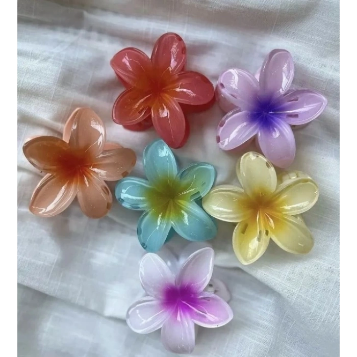 MDB Lotus Mandal Toka