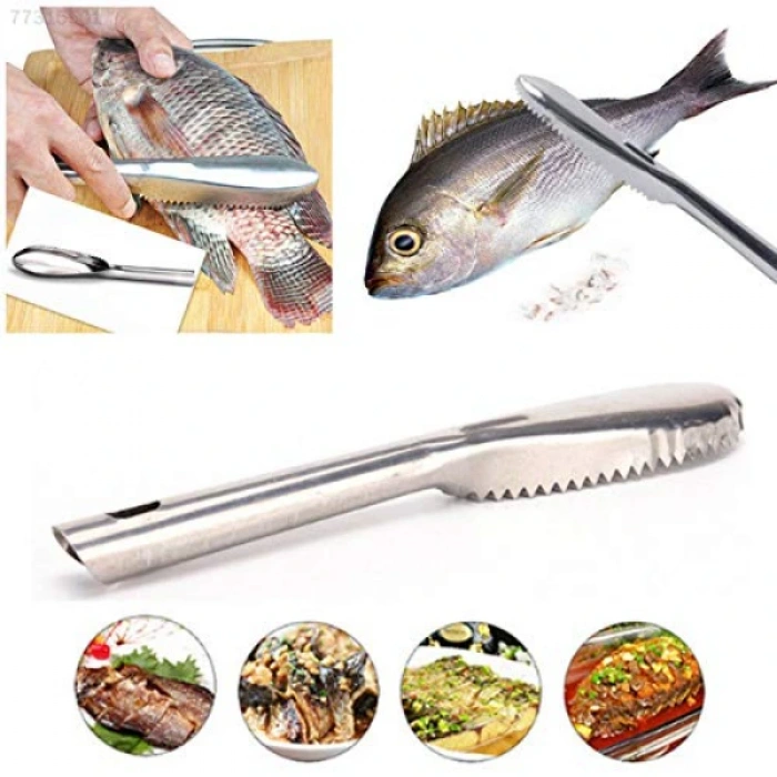 MDB Pratik Balık Pulu Kazıyıcı Aparat