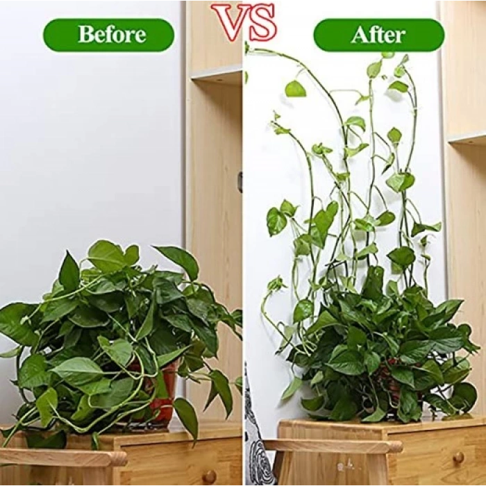 Sarmaşık ve Kablo Düzenleyici Çok Amaçlı Klips 10 Adet