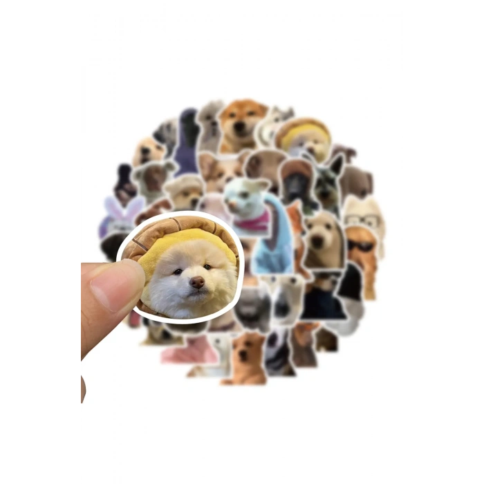 MDB Sevimli Köpek Çıkartmaları Laptop Notebook Tablet Sticker Seti
