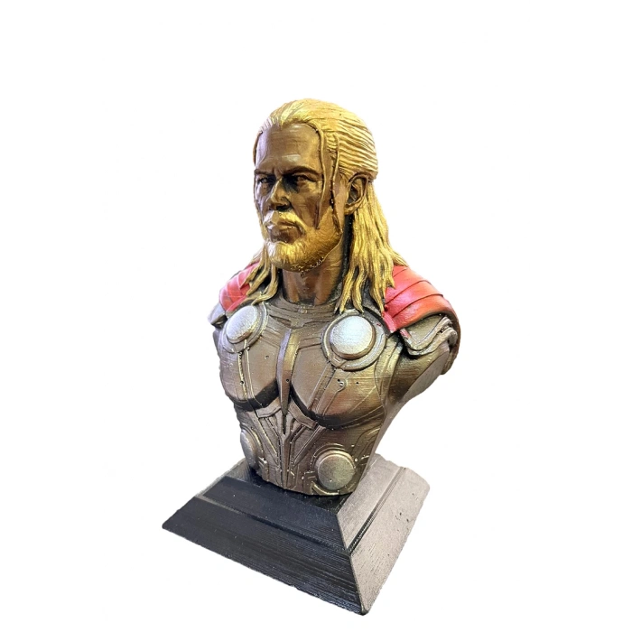 MDB Thor Büst