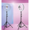 Kuaför Makyaj Çekimleri Selfie Işığı Sürekli 14 inç Işık 2m Stand