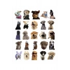 MDB Sevimli Köpek Çıkartmaları Laptop Notebook Tablet Sticker Seti