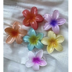 MDB Lotus Mandal Toka