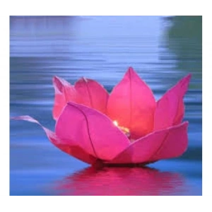 Nilüfer Su Çiçeği Su Feneri