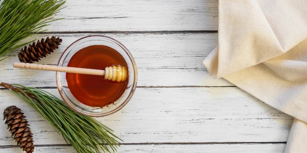 Dünyanın Şifalı Mirası: Türkiye’nin Çam Balı Hikayesi