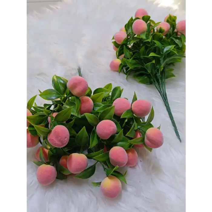 Kokina Çiçeği (Şeftali)