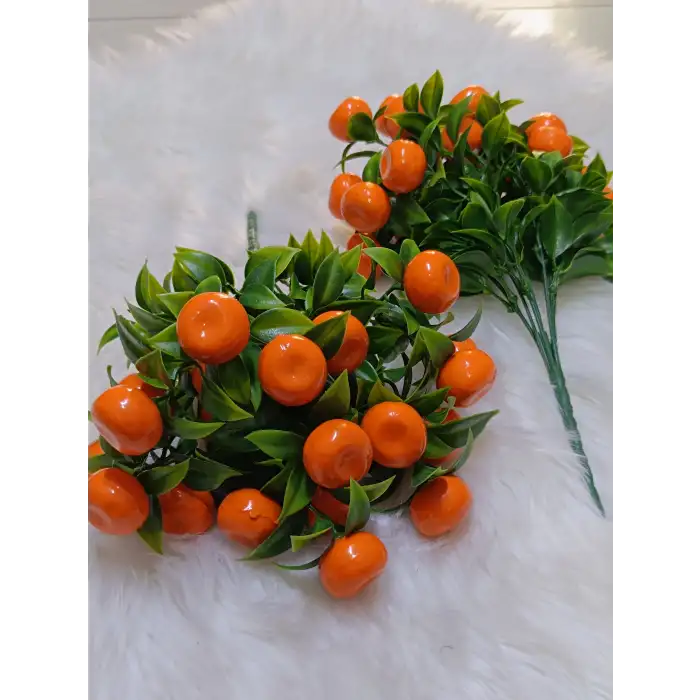 Kokina Çiçeği (Portakal)