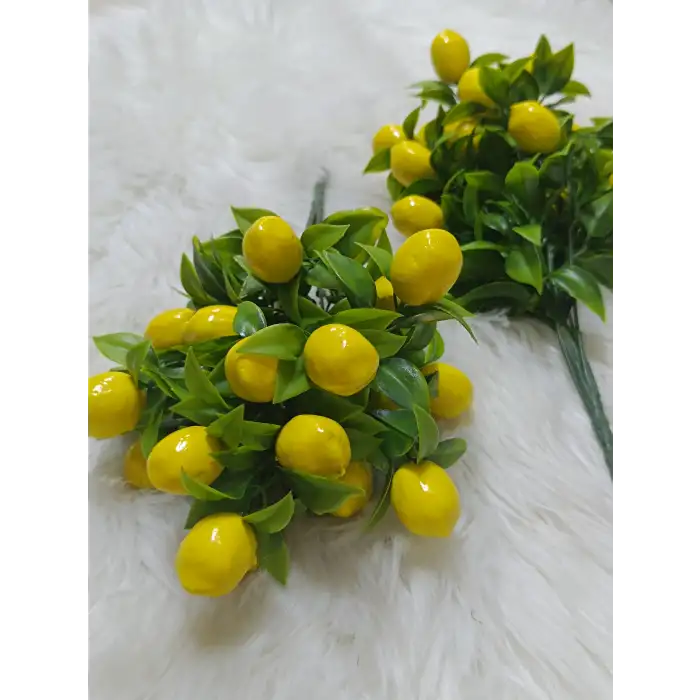 Kokina Çiceği (Limon)