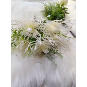 Dekoratif ara çiçek