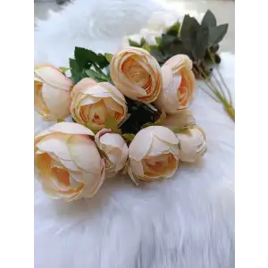 10 Kafalı Şakayık